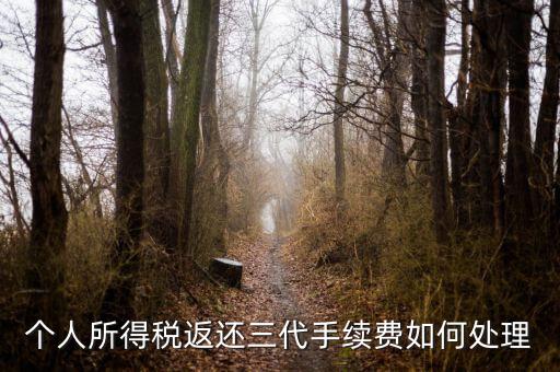 地稅局的退付三代手續(xù)費是什么意思，三代手續(xù)費返還該計入什么科目