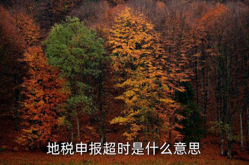 地稅申報(bào)超時是什么意思