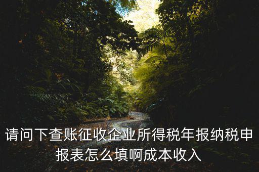 企業(yè)所得稅申報(bào)查賬是什么表，剛注冊(cè)了一個(gè)小規(guī)模的公司企業(yè)所得稅是查帳征收企業(yè)所得稅報(bào)表