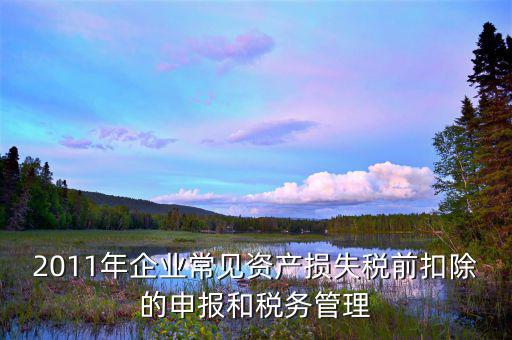 什么是資產(chǎn)損失屬于清單申報(bào)，資產(chǎn)損失稅前扣除什么是清單申報(bào)專項(xiàng)申報(bào)