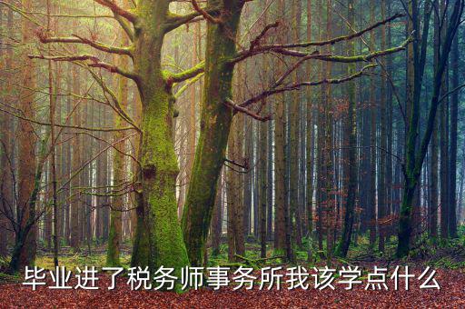 納稅人學堂講什么，稅務實務課講什么