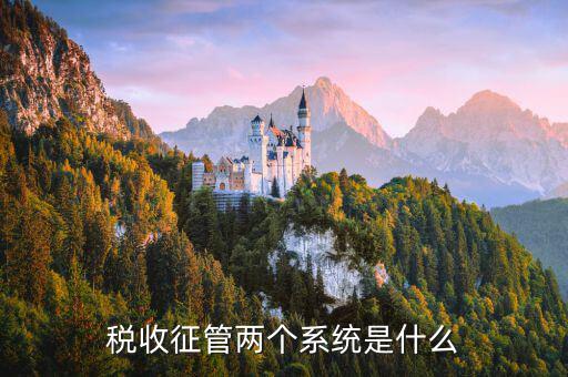 稅務(wù)什么叫核心征管系統(tǒng)，稅收征管兩個系統(tǒng)是什么