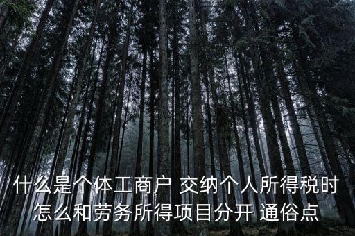 什么叫個體工商戶經(jīng)營所得，個體工商戶的生產(chǎn)經(jīng)營所得是指什么