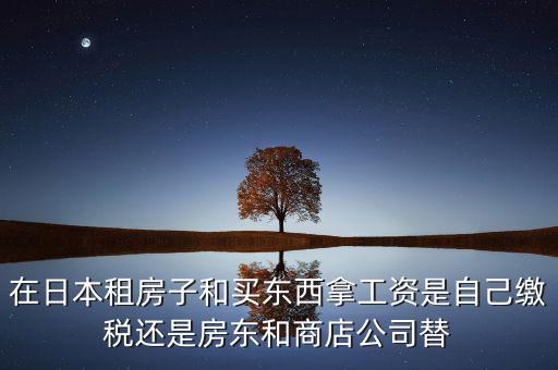 日本租稅法是什么稅，在日本租房子和買東西拿工資是自己繳稅還是房東和商店公司替