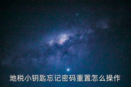 地稅密碼重置需要什么，地稅網(wǎng)上納稅申報密碼忘記了