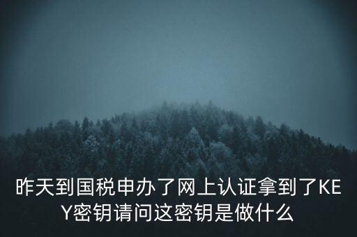稅務(wù)認證密碼是什么，昨天到國稅申辦了網(wǎng)上認證拿到了KEY密鑰請問這密鑰是做什么