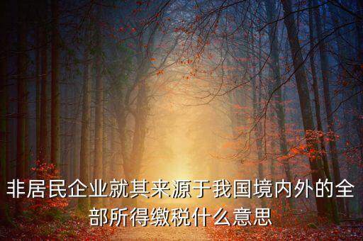 非居民企業(yè)就其來源于我國(guó)境內(nèi)外的全部所得繳稅什么意思