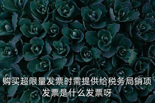 購買超限量發(fā)票時需提供給稅務(wù)局銷項(xiàng)發(fā)票是什么發(fā)票呀