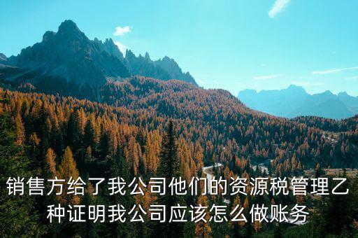 什么叫資源稅甲乙種證明，銷售方給了我公司他們的資源稅管理乙種證明我公司應(yīng)該怎么做賬務(wù)