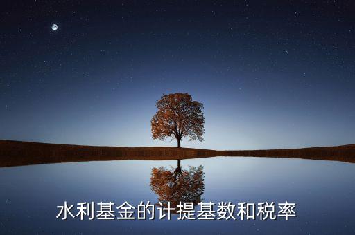水利基金計算基數(shù)是什么意思，水利基金的計提基數(shù)和稅率
