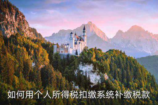 個(gè)人所得稅用什么系統(tǒng)，個(gè)人所得稅代扣代繳系統(tǒng) 支持Windows7 嗎