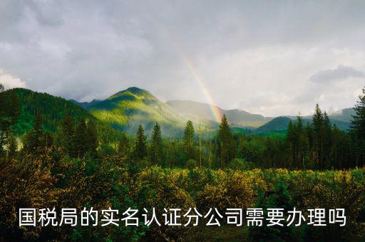 四川國稅局實名認證需要什么手續(xù)，在國稅局辦理法人實名制認證要帶什么材料