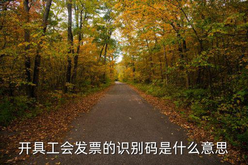 河北省發(fā)票識(shí)別碼是什么意思，開票方識(shí)別號(hào)是什么意思