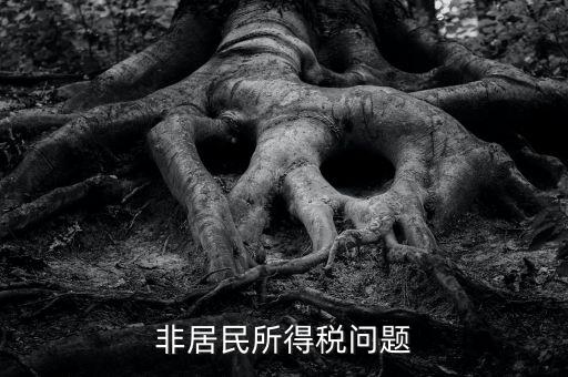 有什么是非居民企業(yè)，個(gè)私企業(yè)的范圍除了個(gè)體戶還包括哪些性質(zhì)的企業(yè)