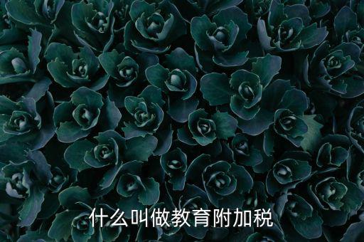 教育附加什么意思，教育費附加代表什么意思