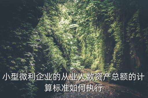 小型微利企業(yè)的從業(yè)人數(shù)資產(chǎn)總額的計算標準如何執(zhí)行