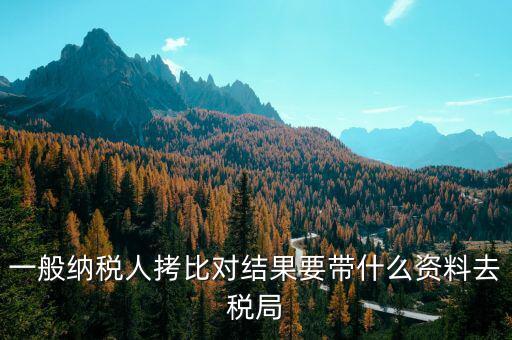 去稅務(wù)拷初始化文件帶什么東西，一般納稅人拷比對(duì)結(jié)果要帶什么資料去稅局