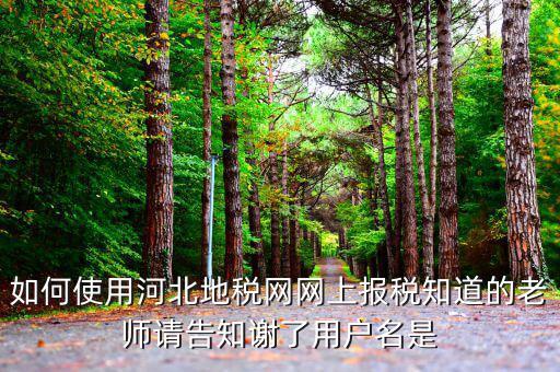 河北省地稅登陸的用戶名是什么意思，在網(wǎng)上報(bào)稅登陸時(shí)用戶名是什么
