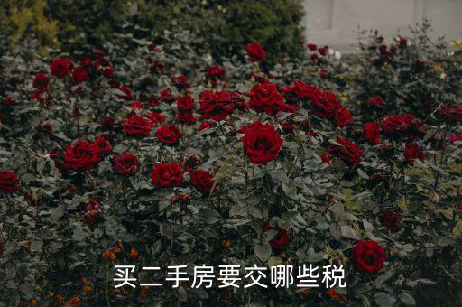 買二手公建房交什么稅，買二手房要交哪些稅