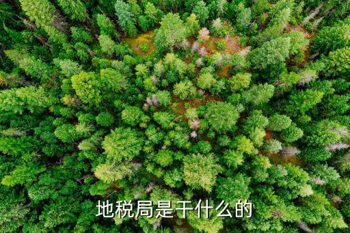 地稅主要負(fù)責(zé)什么工作總結(jié)，地稅局一般做什么工作啊