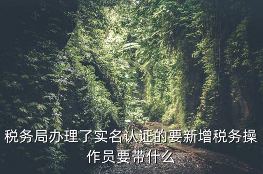 稅務(wù)局辦理了實名認證的要新增稅務(wù)操作員要帶什么