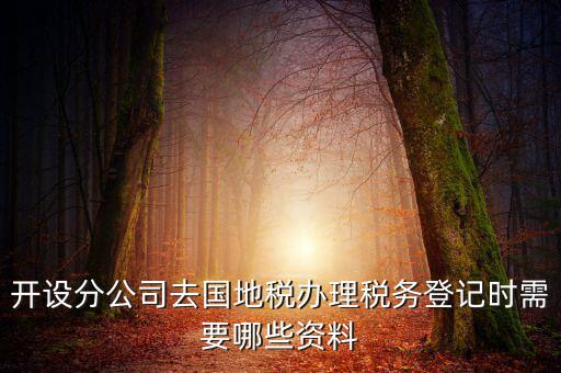 分公司地稅辦理需要什么材料，辦理分公司的稅務(wù)登記證需要準(zhǔn)備哪些資料