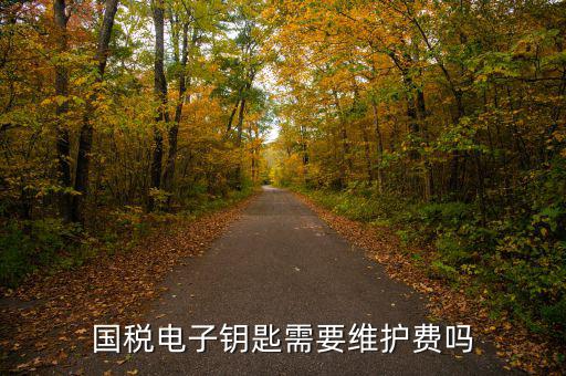 辦稅鑰匙是什么意思，網(wǎng)上報(bào)稅請插入電子令牌是什么意思