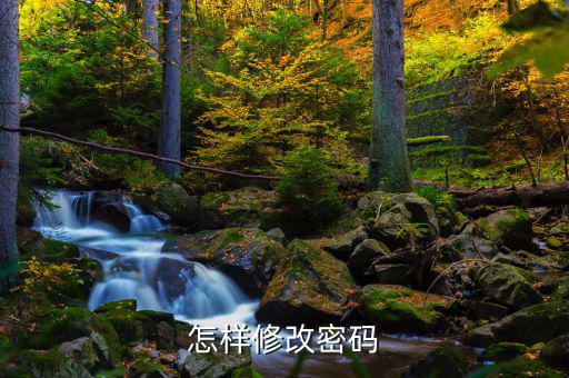 怎樣改國稅密碼是什么，山東省國家稅務局網(wǎng)上辦稅平臺納稅人的密碼怎么改
