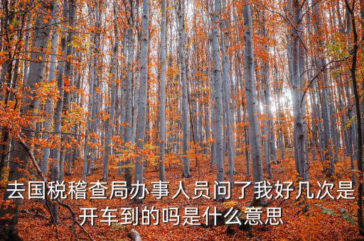 國(guó)稅說(shuō)需要運(yùn)維是什么意思，什么條件需要辦理國(guó)稅我是一個(gè)月收入2千左右的維修小檔口也要輸