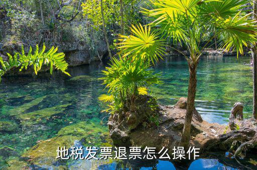 國(guó)稅地稅如何退稅，地稅發(fā)票退票怎么操作
