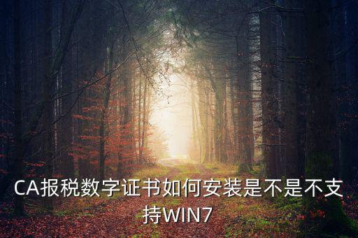 CA報(bào)稅數(shù)字證書(shū)如何安裝是不是不支持WIN7