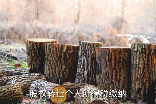 股權(quán)轉(zhuǎn)讓如何繳納個稅，個人股權(quán)轉(zhuǎn)讓如何納稅