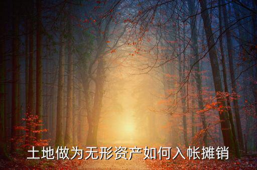 土地如何攤銷，土地做為無(wú)形資產(chǎn)如何入帳攤銷