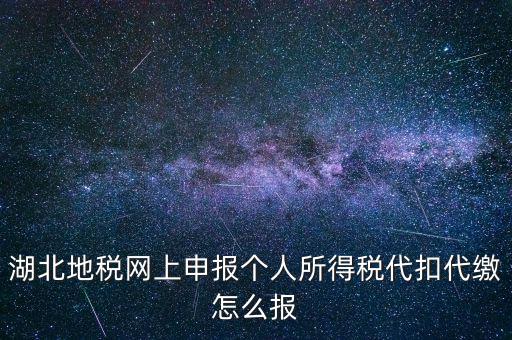 湖北地稅如何網上申報，湖北省地稅新的報稅系統里核定的公司稅種在申報表里面沒有看