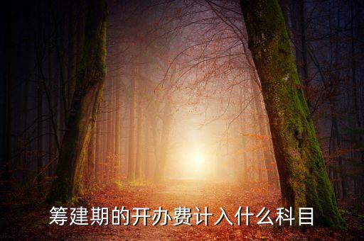 公司籌建期的費用計入什么科目，籌建期的開辦費計入什么科目