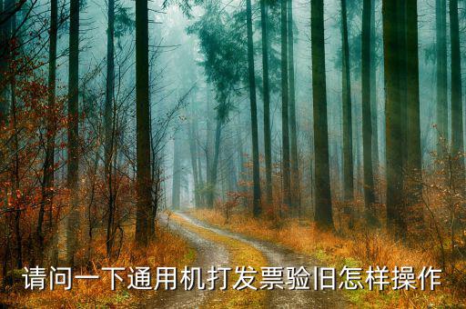 請(qǐng)問一下通用機(jī)打發(fā)票驗(yàn)舊怎樣操作