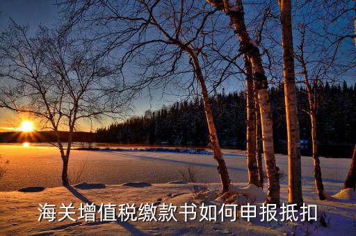 海關(guān)增值稅如何抵扣，海關(guān)增值稅繳款書如何申報(bào)抵扣