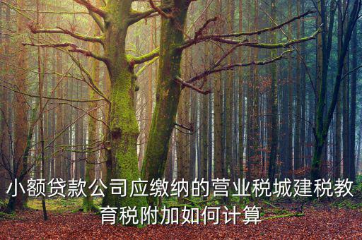 小額貸款公司如何繳稅，小額貸款公司的營(yíng)業(yè)稅怎么算 sitewenwensosocom