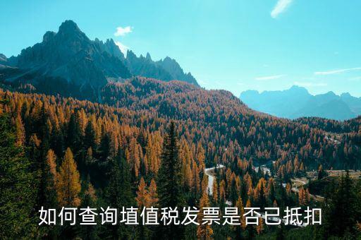 如何查詢已抵扣發(fā)票嗎，怎么查詢開出的發(fā)票有沒有被抵扣