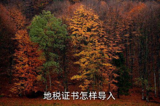 如何安裝深圳地稅證書(shū)，地稅證書(shū)怎樣導(dǎo)入
