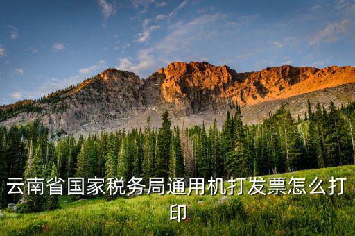 云南省國家稅務(wù)局通用機打發(fā)票怎么打印