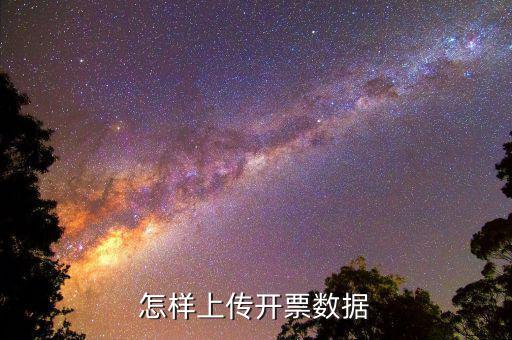 如何上傳進(jìn)項(xiàng)發(fā)票明細(xì)，怎樣上傳開票數(shù)據(jù)