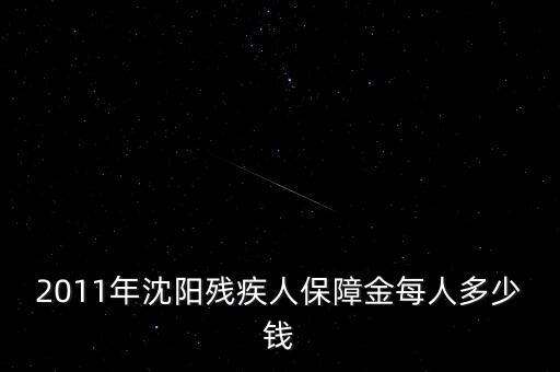 沈陽市殘疾人保障金如何計(jì)算，2011年沈陽殘疾人保障金每人多少錢
