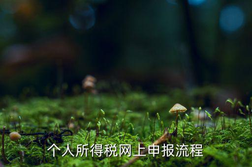 如何網(wǎng)上申請(qǐng)個(gè)稅，個(gè)人所得稅網(wǎng)上申報(bào)流程