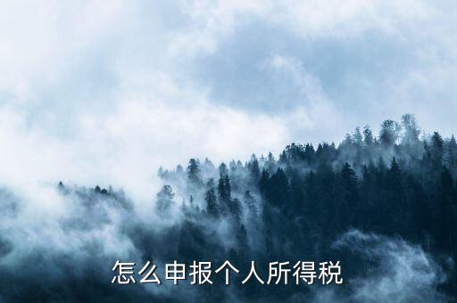 如何申報(bào)個(gè)人所得稅，怎么申報(bào)個(gè)人所得稅