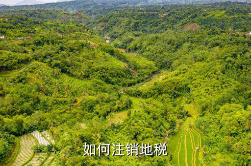 如何注銷地稅，如何注銷地稅