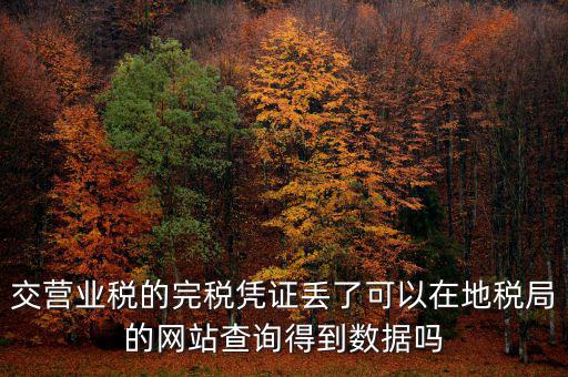 交營業(yè)稅的完稅憑證丟了可以在地稅局的網站查詢得到數據嗎