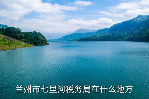 甘肅省國(guó)稅如何申報(bào)，誰(shuí)有甘肅省國(guó)稅網(wǎng)上申報(bào)傳輸平臺(tái)的網(wǎng)址