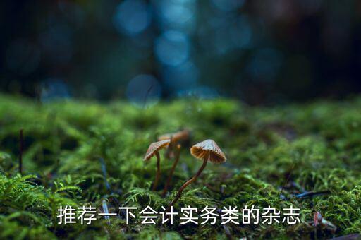 納稅這個期刊如何，推薦一下會計實務類的雜志
