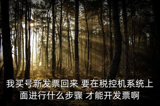稅控系統(tǒng)如何開票，我買號新發(fā)票回來 要在稅控機系統(tǒng)上面進行什么步驟 才能開發(fā)票啊